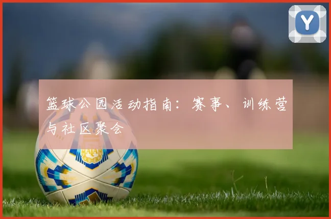 篮球公园活动指南：赛事、训练营与社区聚会