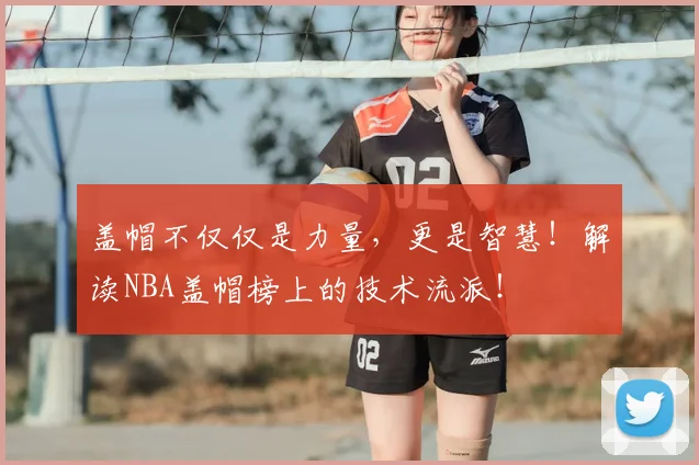 盖帽不仅仅是力量,更是智慧!解读NBA盖帽榜上的技术流派!