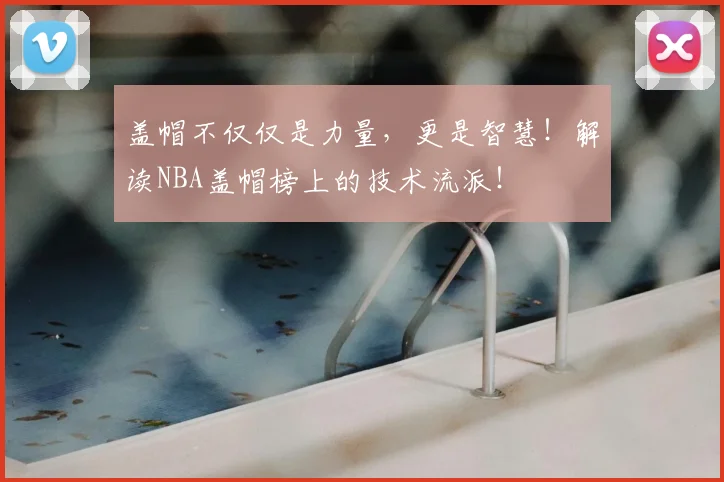 盖帽不仅仅是力量,更是智慧!解读NBA盖帽榜上的技术流派!